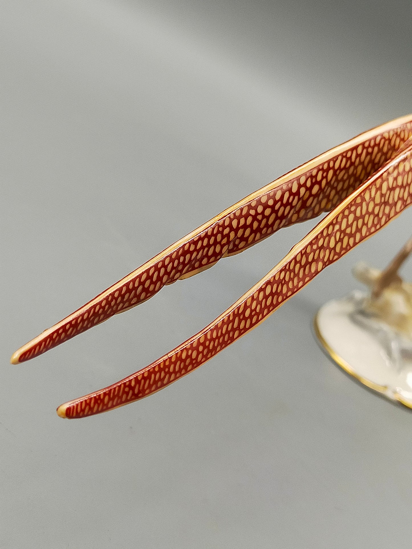 Exquisite Hutschenreuther Porzellanfigur Goldfasan