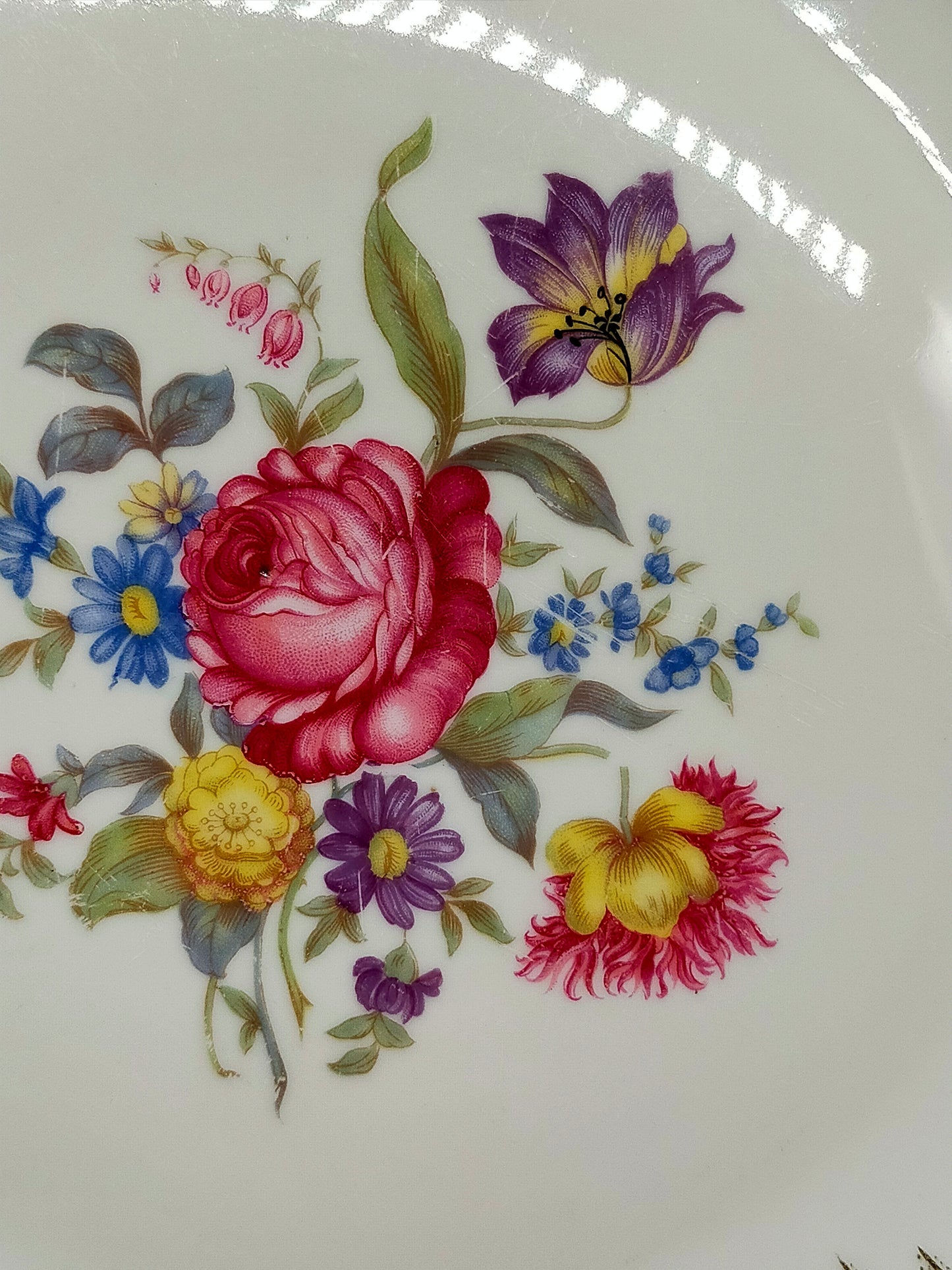 Edler Bavaria Porzellan Teller mit Blümchendekor & Goldrand