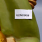 Original Bozner Engel THUN – Große Engel Figur in Grün mit Kerzenhalter