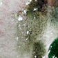 Stilvolles Aquarell von Hahn – Stillleben mit Rosen und Kerzenleuchter