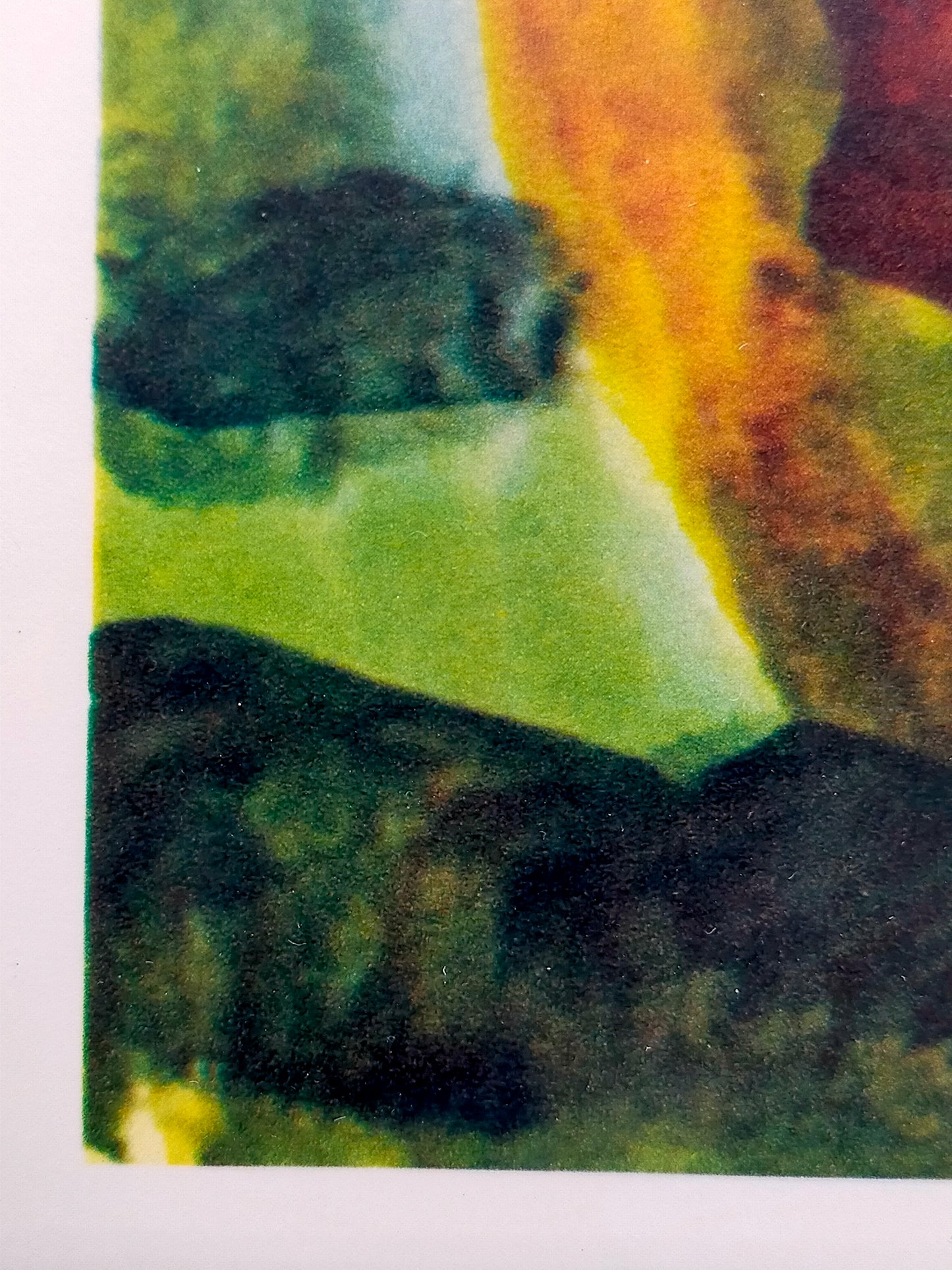Deutsche Schule (XX) – Expressionistische Gartenlandschaft Lithographie