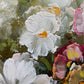 Elegantes Ölgemälde – Blumenstrauß in Korb von Zaliki