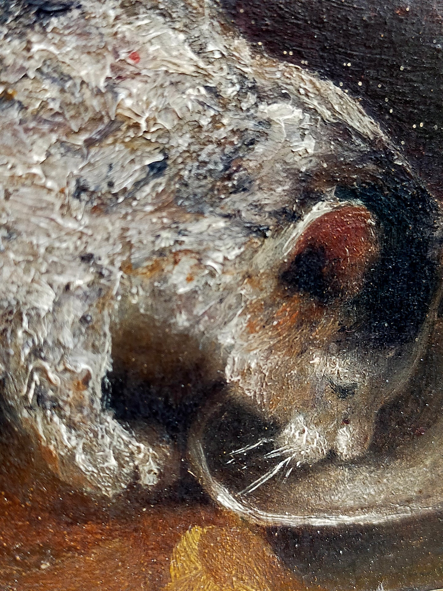 Europäische Schule (XIX) – Trinkende Katze – Historische Tiermalerei