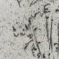 Georg Walter Rössner Frühlingslandschaft mit Spaziergängerin Radierung