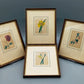 B. Maund Set von 4 Antike Handkolorierte Kupferstiche Botanik 1825