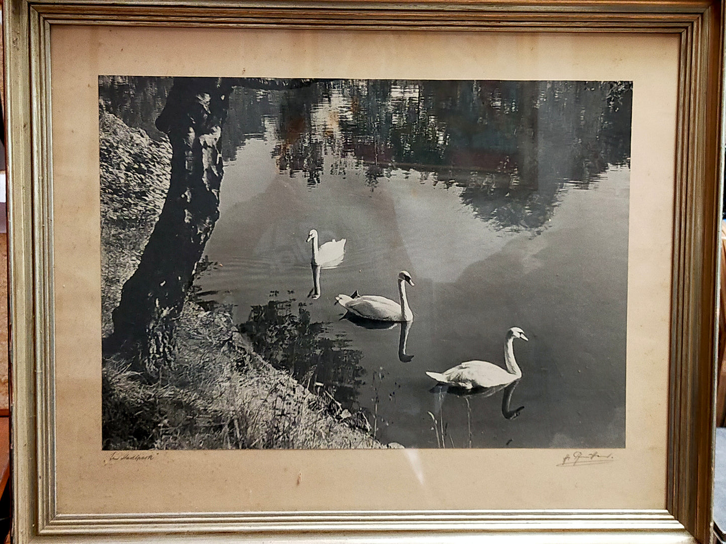 Deutsche Schule (XX) – Im Stadtpark – Schwanenszene mit Bäumen