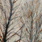 Fritz Köhler – Winterliche Waldlandschaft mit Pferdekutsche – Ölgemälde