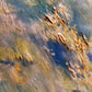 Malerische Landschaft in Öl – Flusslandschaft mit altem Ba