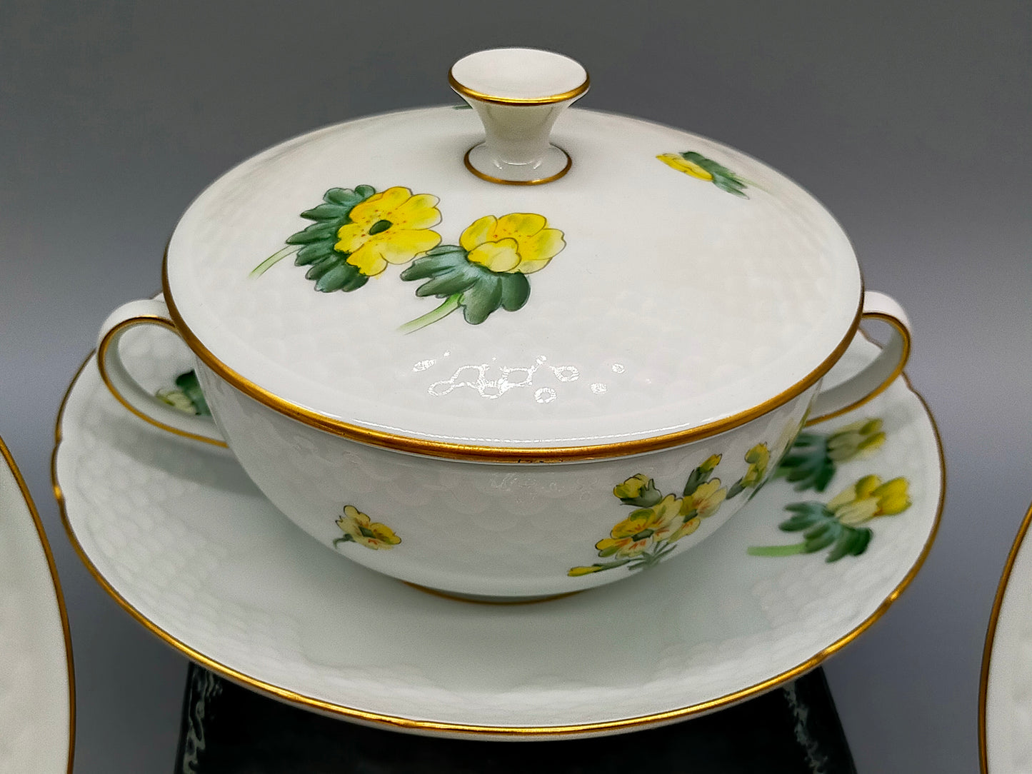 Bing & Grøndahl Suppentassen Set – Handbemalt Porzellan