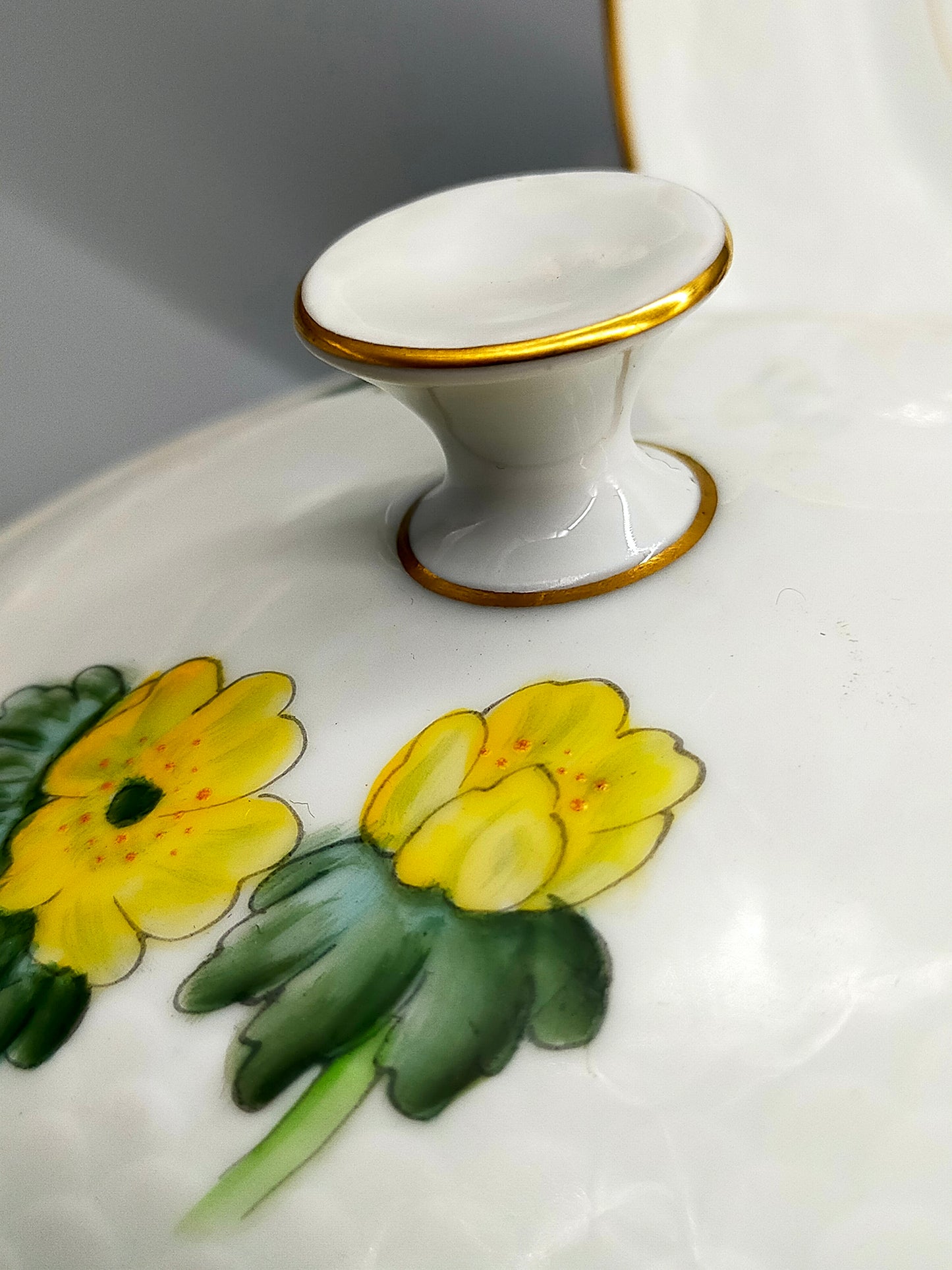 Bing & Grøndahl Suppentassen Set – Handbemalt Porzellan