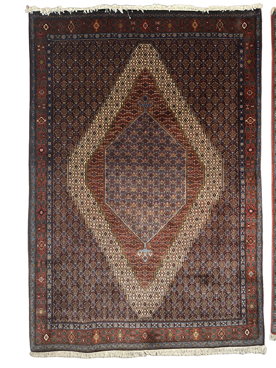 Handgeknüpfter Perser Orientteppich Senneh Bidjar – 300x200 cm