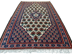 Orientteppich handgeknüpft 166 x 110 cm Bidjar Rosen Kelim