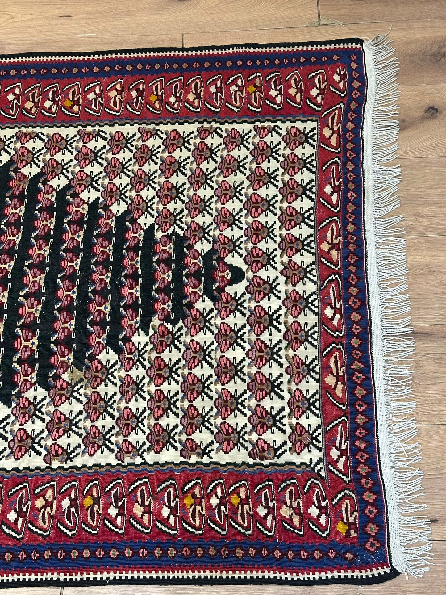 Orientteppich handgeknüpft 166 x 110 cm Senneh Bidjar Kelim