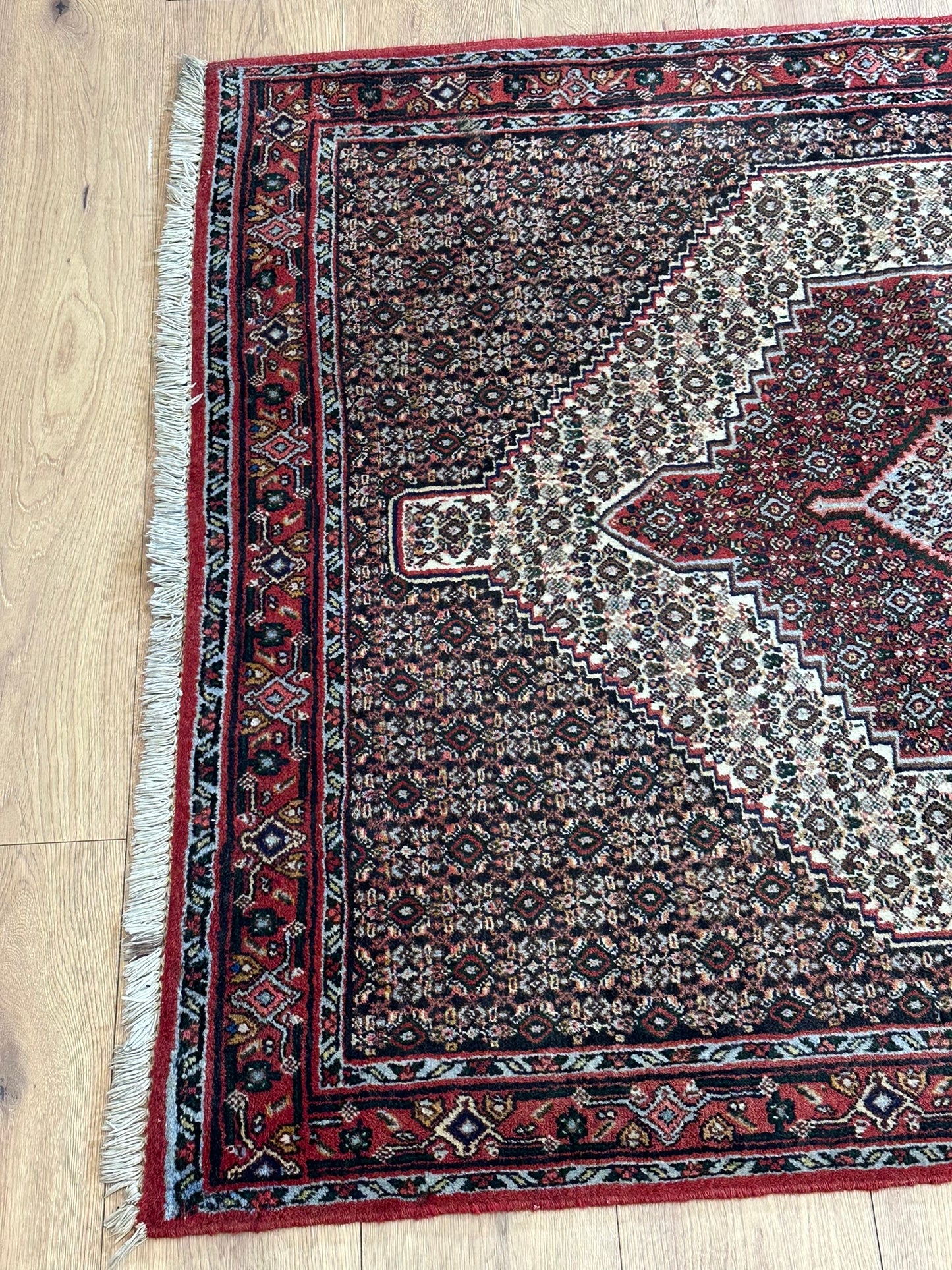 Orientteppich handgeknüpft Senneh Bidjar 150x122 cm