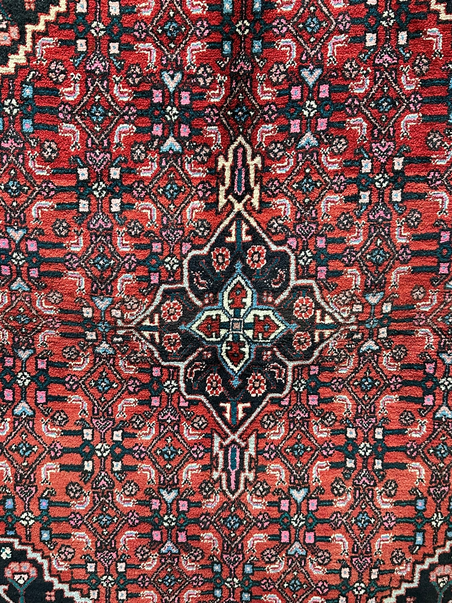 Orientteppich handgeknüpft 157x104 cm Bidjar Schurwolle