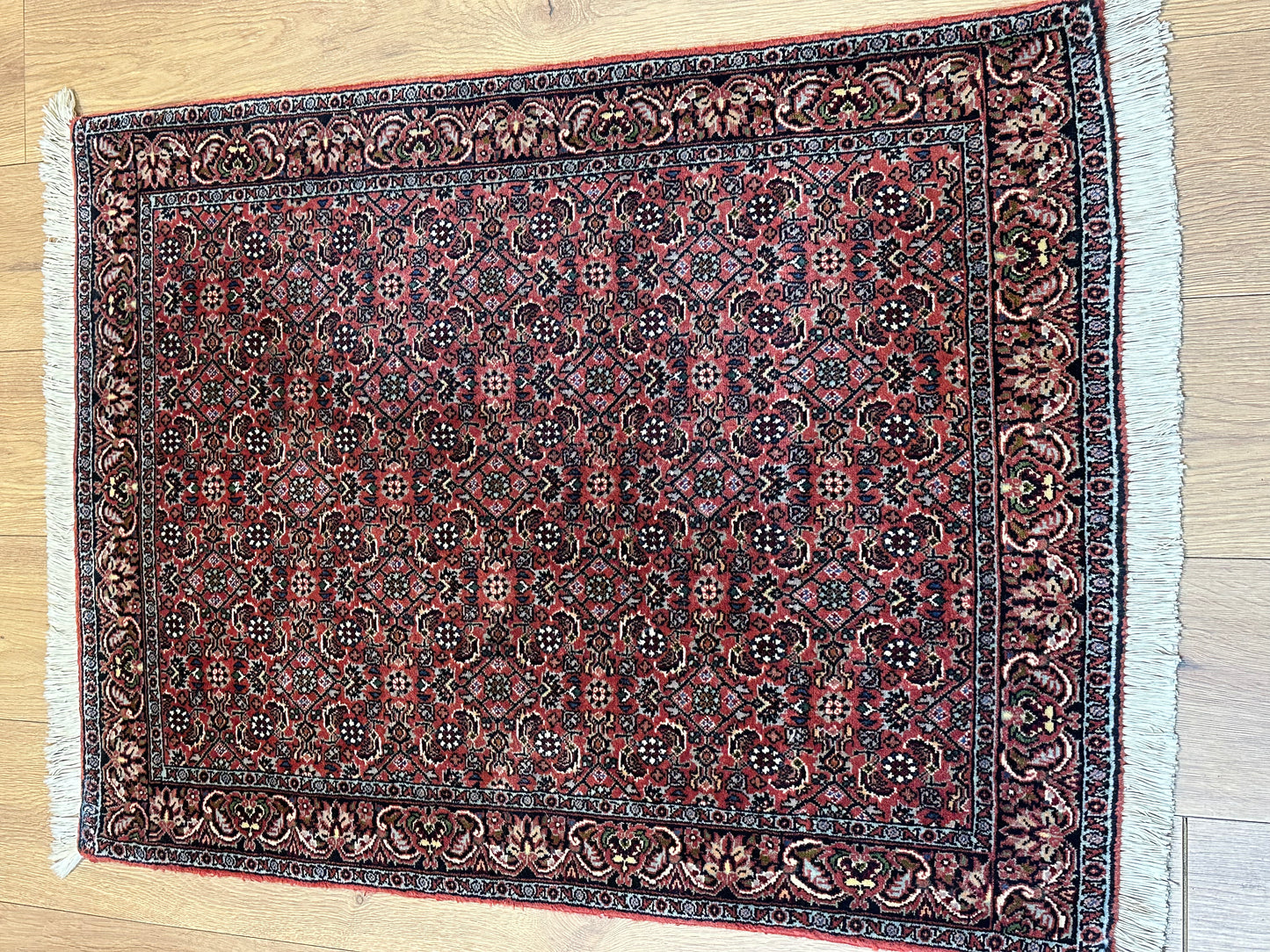 Orientteppich Bidjar – Handgeknüpft aus feiner Korkwolle – 100 x 75 cm