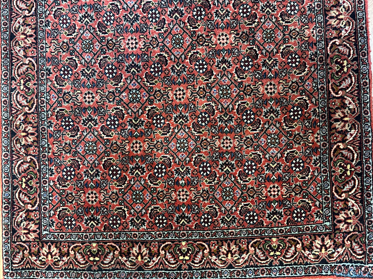 Orientteppich Bidjar – Handgeknüpft aus feiner Korkwolle – 100 x 75 cm