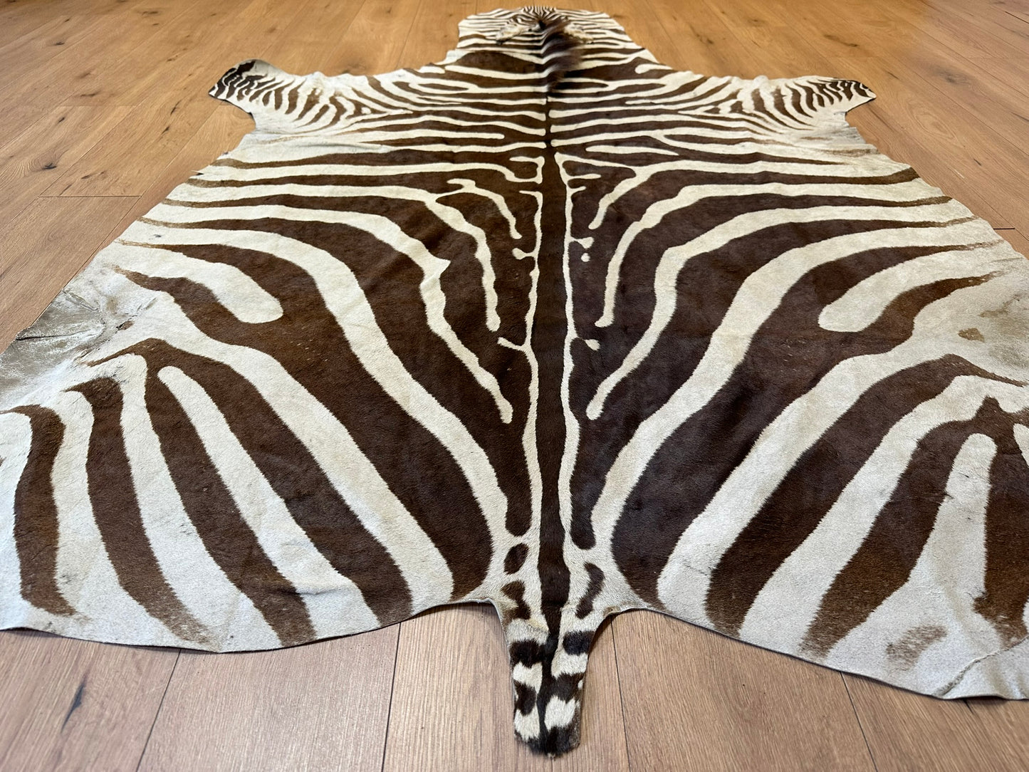 Orientteppich  Zebra Fell Echt 242x163 cm