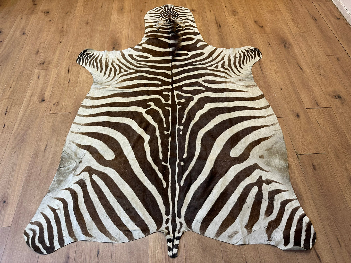 Orientteppich  Zebra Fell Echt 242x163 cm