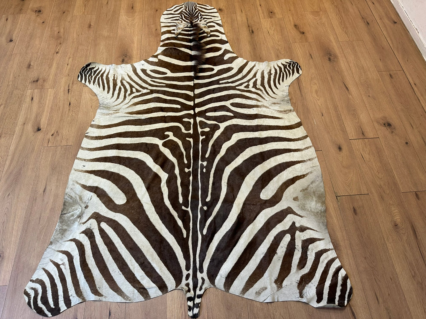 Orientteppich  Zebra Fell Echt 242x163 cm