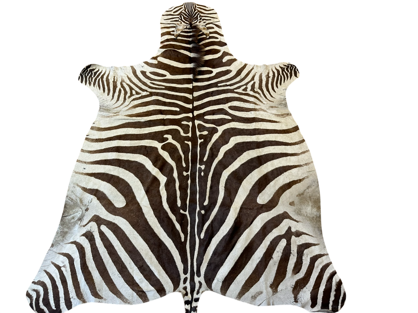 Orientteppich  Zebra Fell Echt 242x163 cm