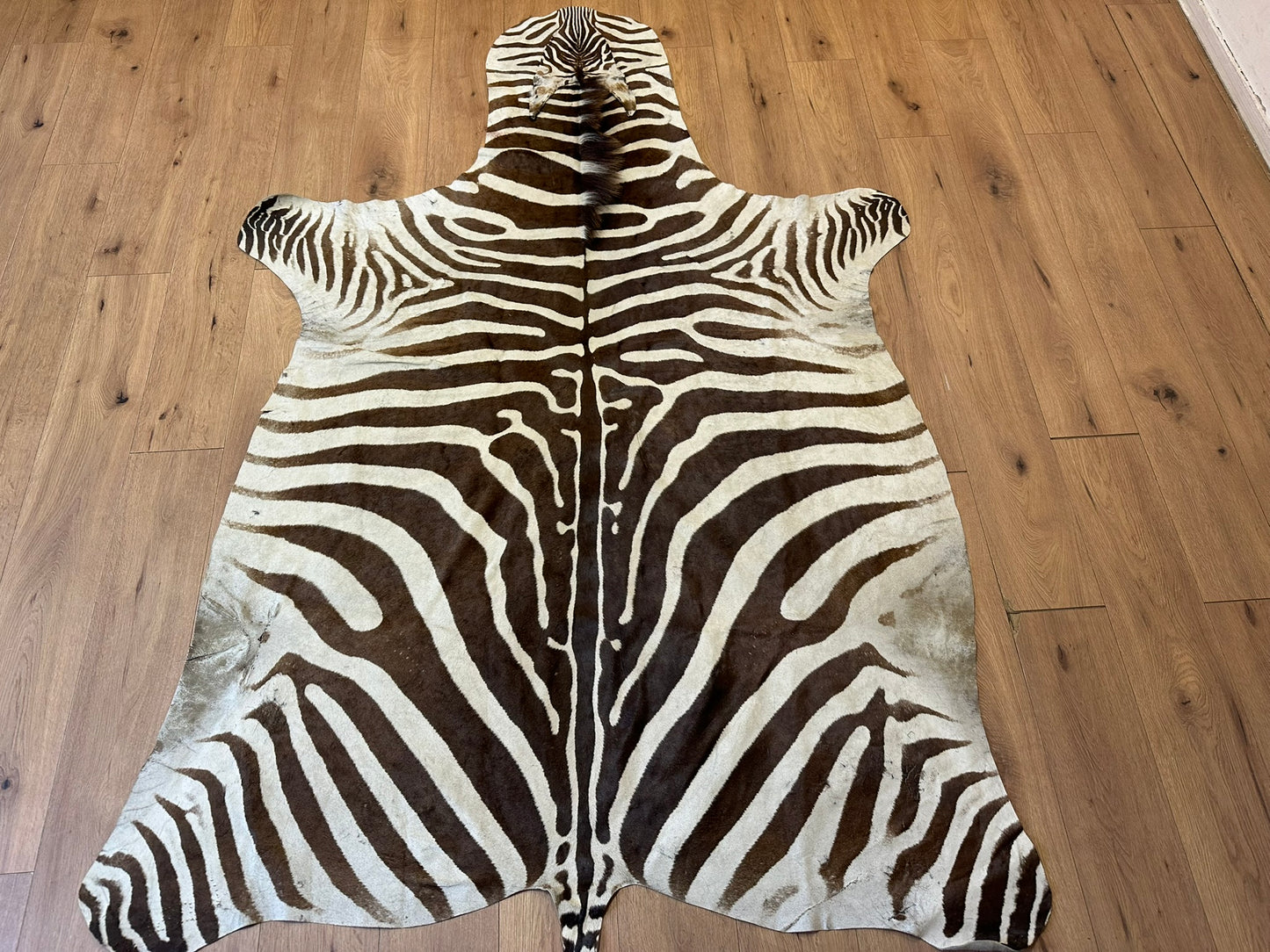 Orientteppich  Zebra Fell Echt 242x163 cm