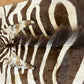Orientteppich  Zebra Fell Echt 242x163 cm