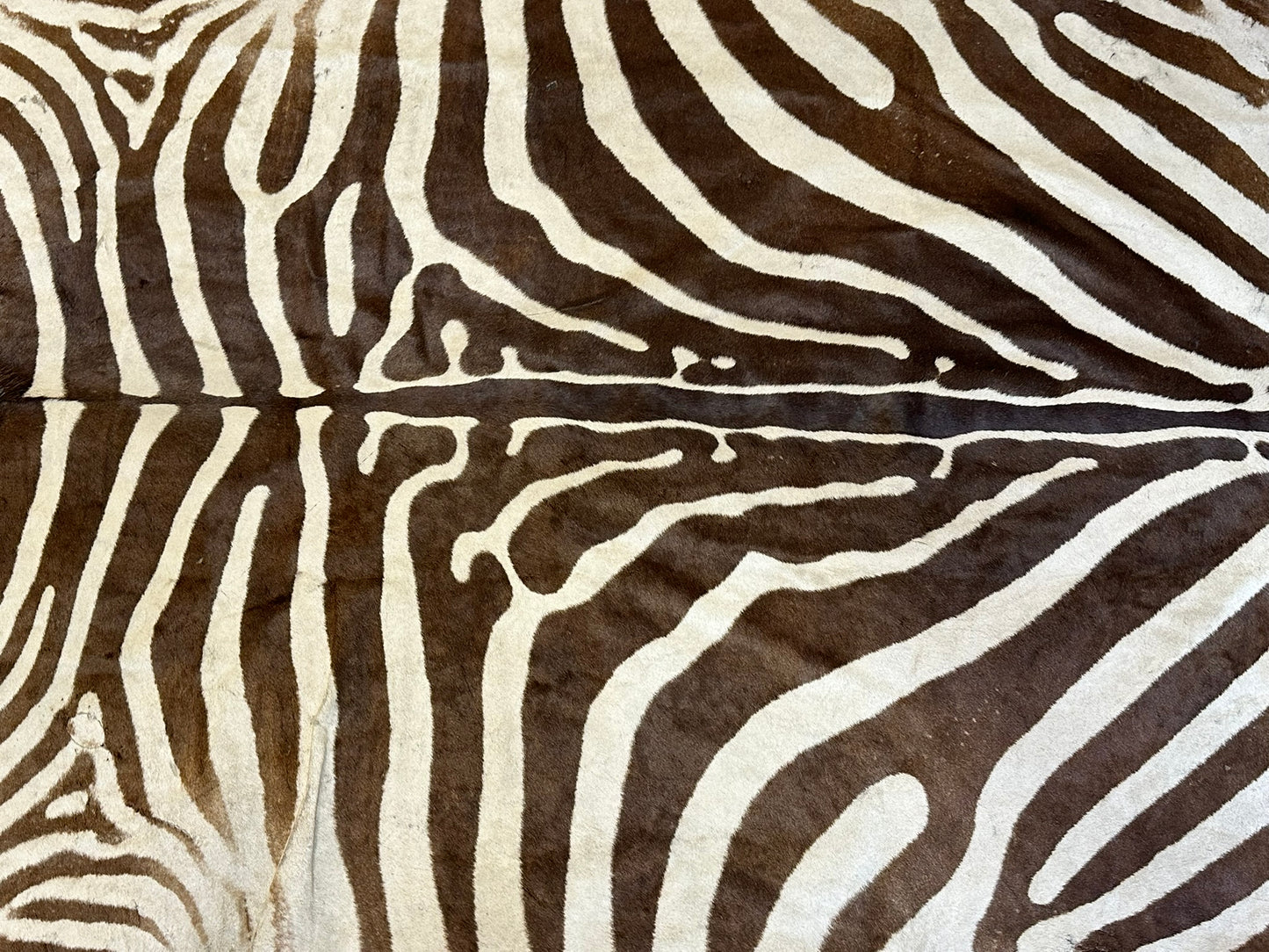 Orientteppich  Zebra Fell Echt 242x163 cm