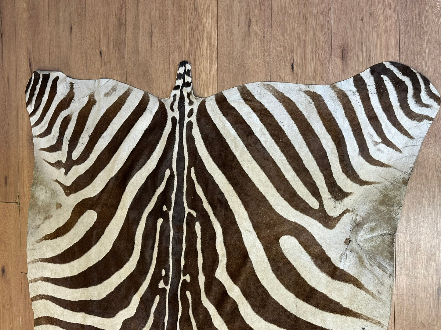 Orientteppich  Zebra Fell Echt 242x163 cm