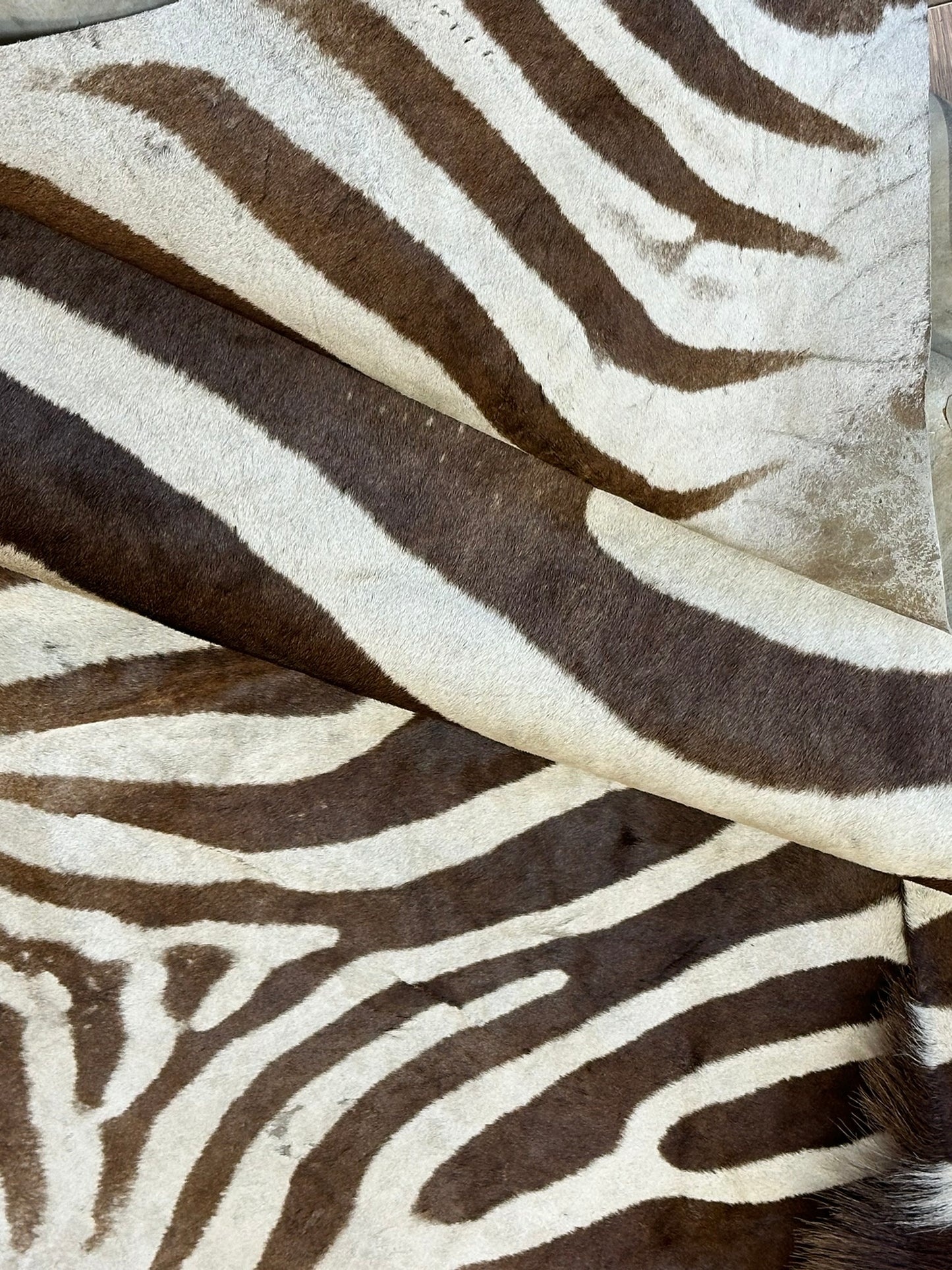 Orientteppich  Zebra Fell Echt 242x163 cm
