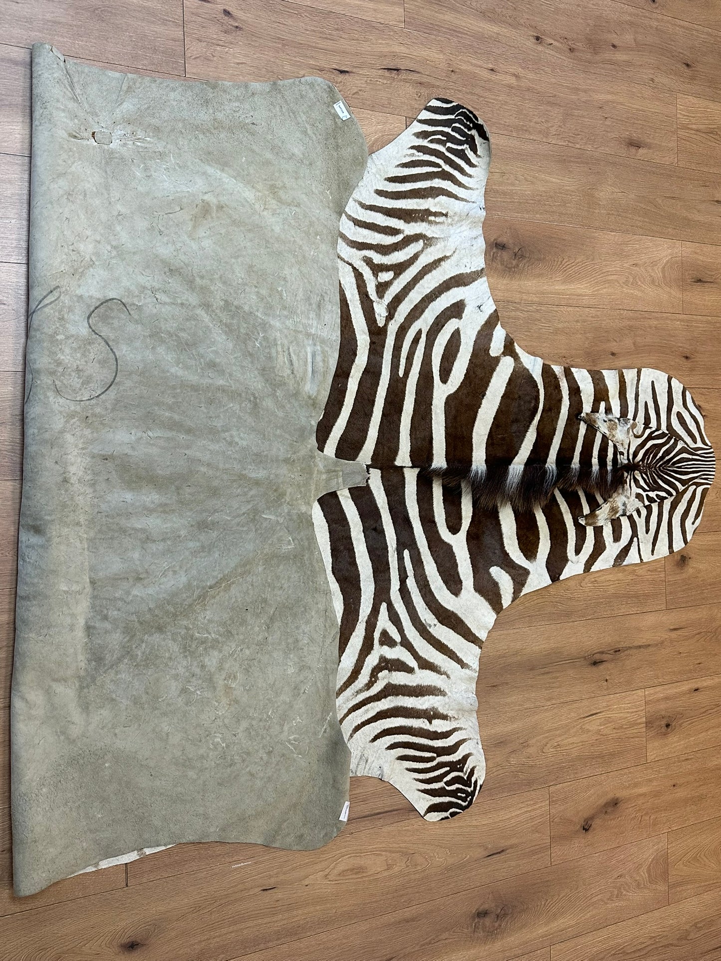 Orientteppich  Zebra Fell Echt 242x163 cm
