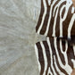 Orientteppich  Zebra Fell Echt 242x163 cm