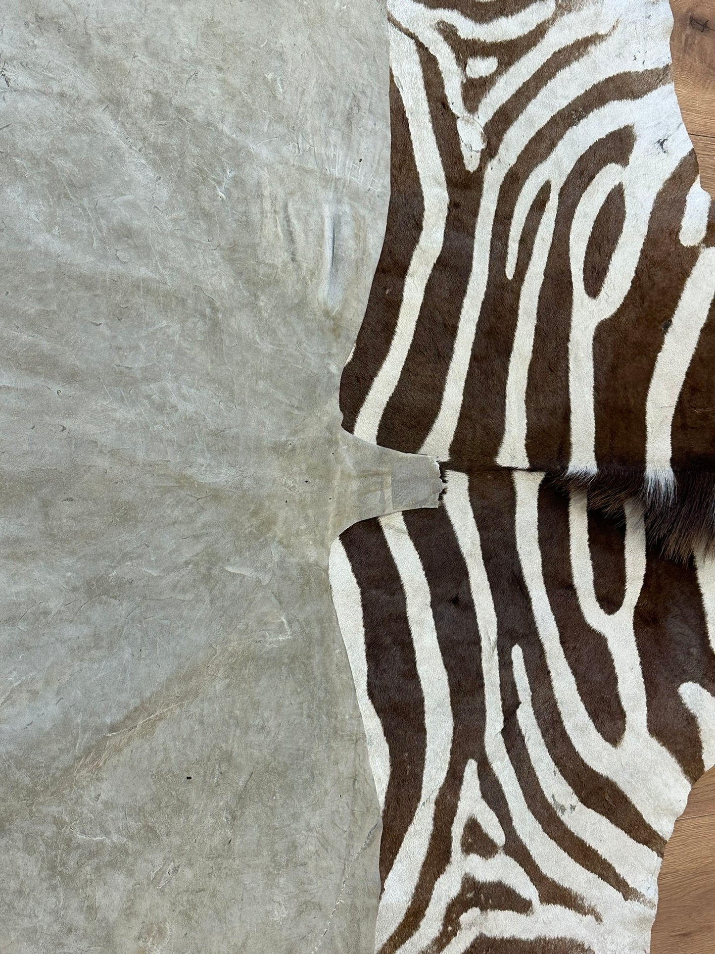 Orientteppich  Zebra Fell Echt 242x163 cm