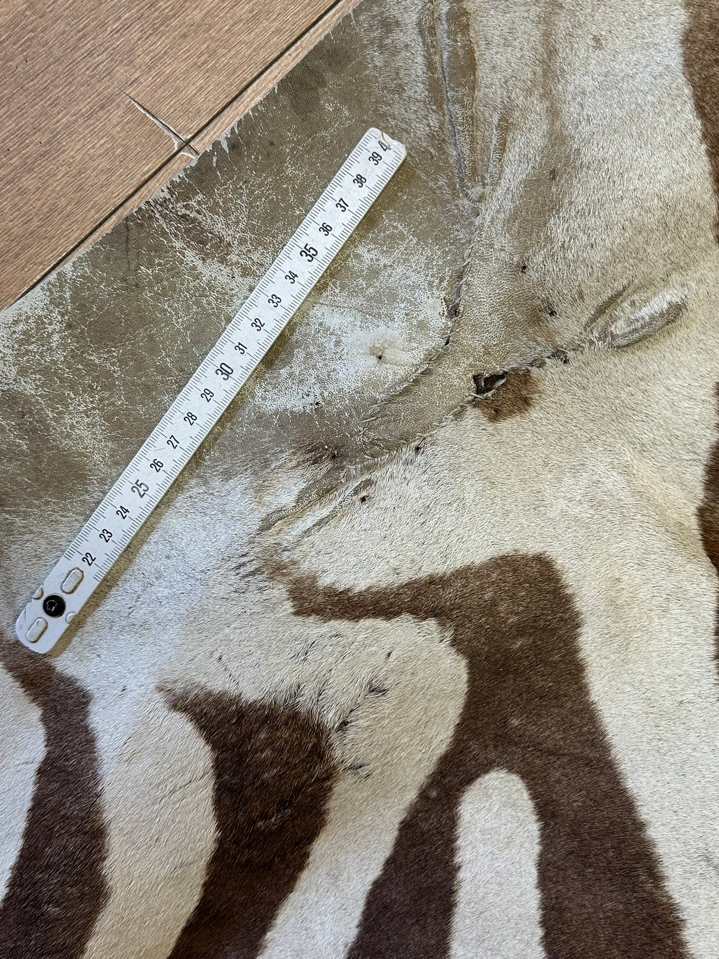 Orientteppich  Zebra Fell Echt 242x163 cm