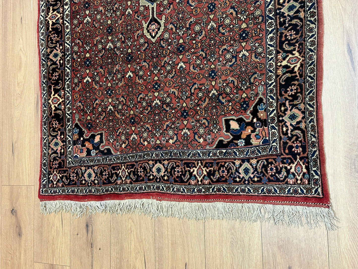 Orientteppich handgeknüpft 170x115 cm Bidjar Schurwolle