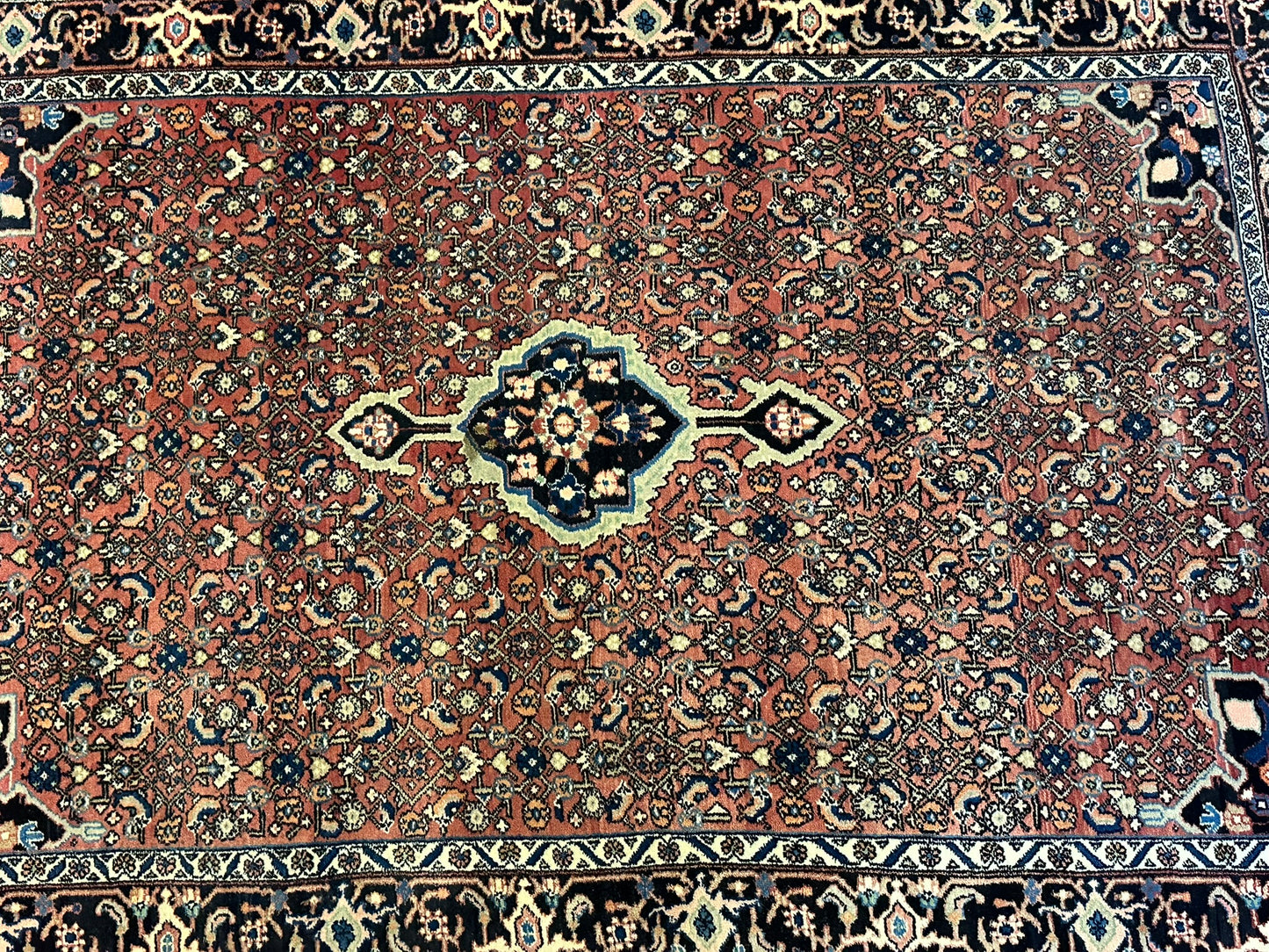 Orientteppich handgeknüpft 170x115 cm Bidjar Schurwolle