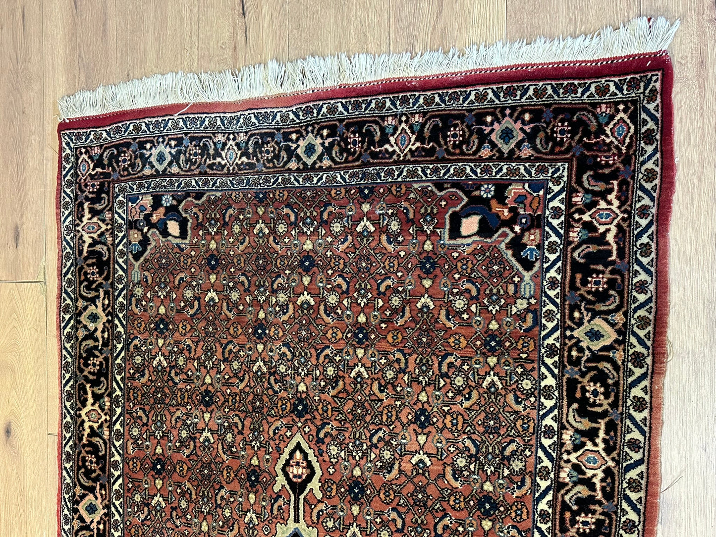 Orientteppich handgeknüpft 170x115 cm Bidjar Schurwolle