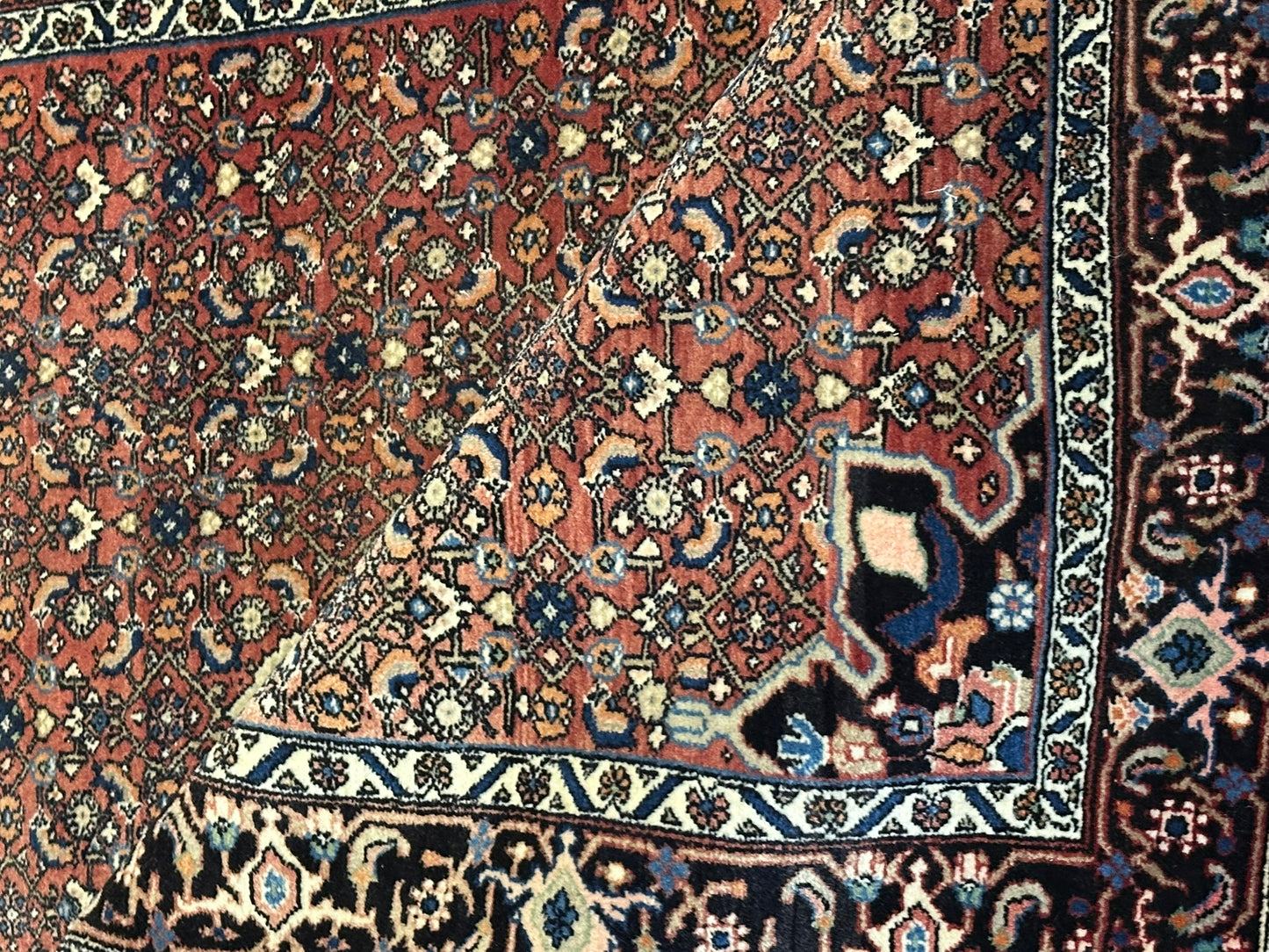 Orientteppich handgeknüpft 170x115 cm Bidjar Schurwolle