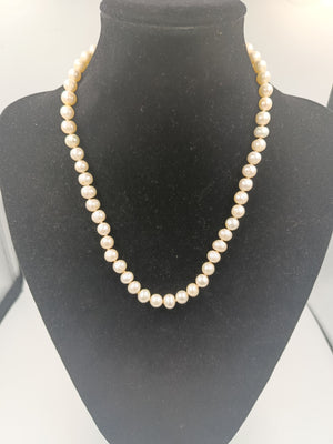 Klassisches Perlen-Collier mit silberfarbenem Verschluss