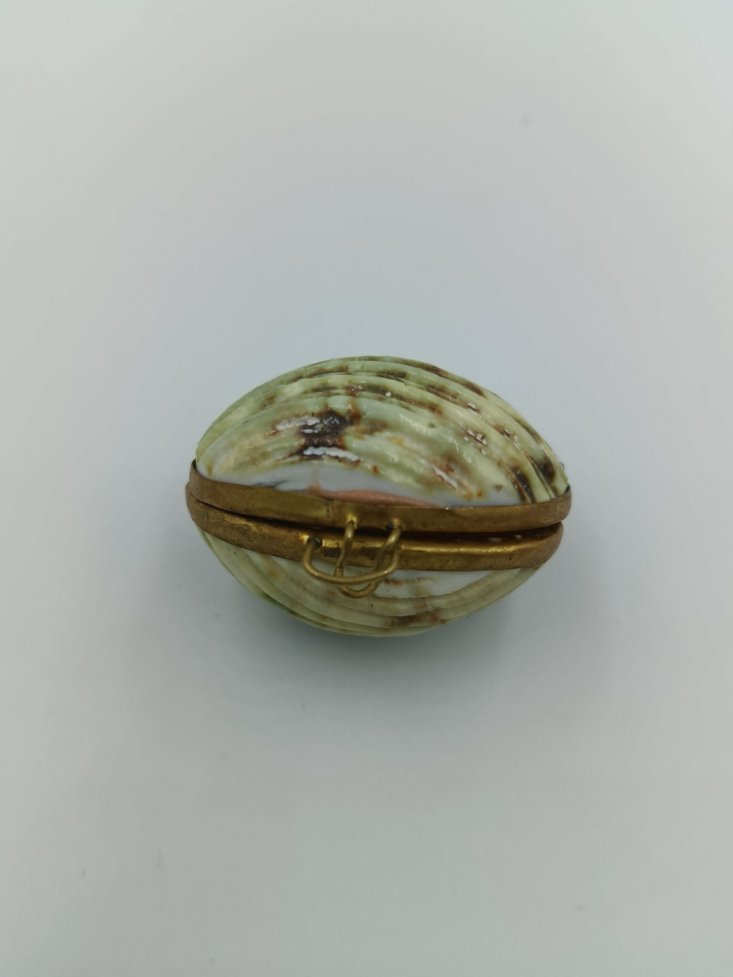 Muschel-Dose mit Messingfassung