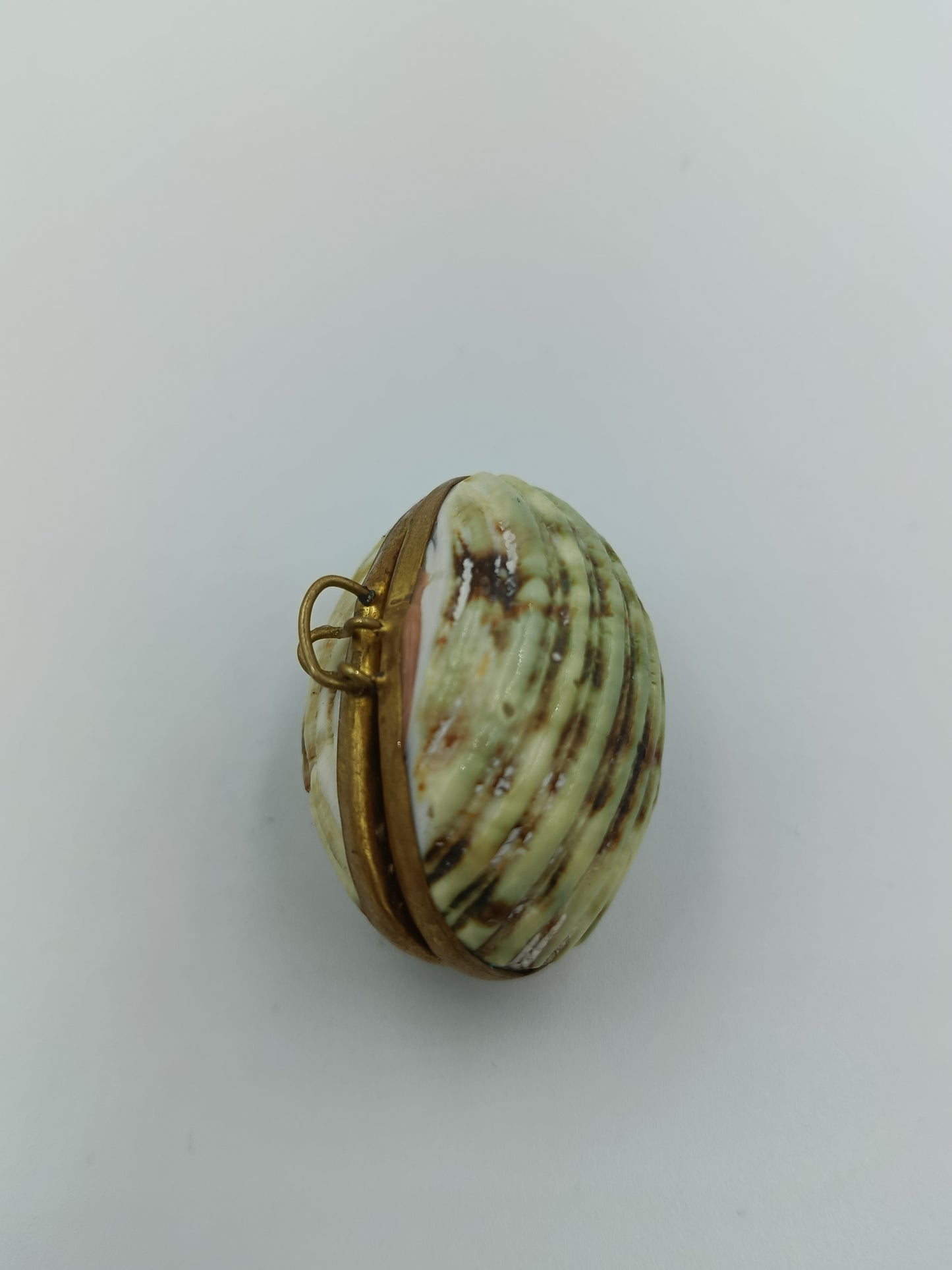 Muschel-Dose mit Messingfassung