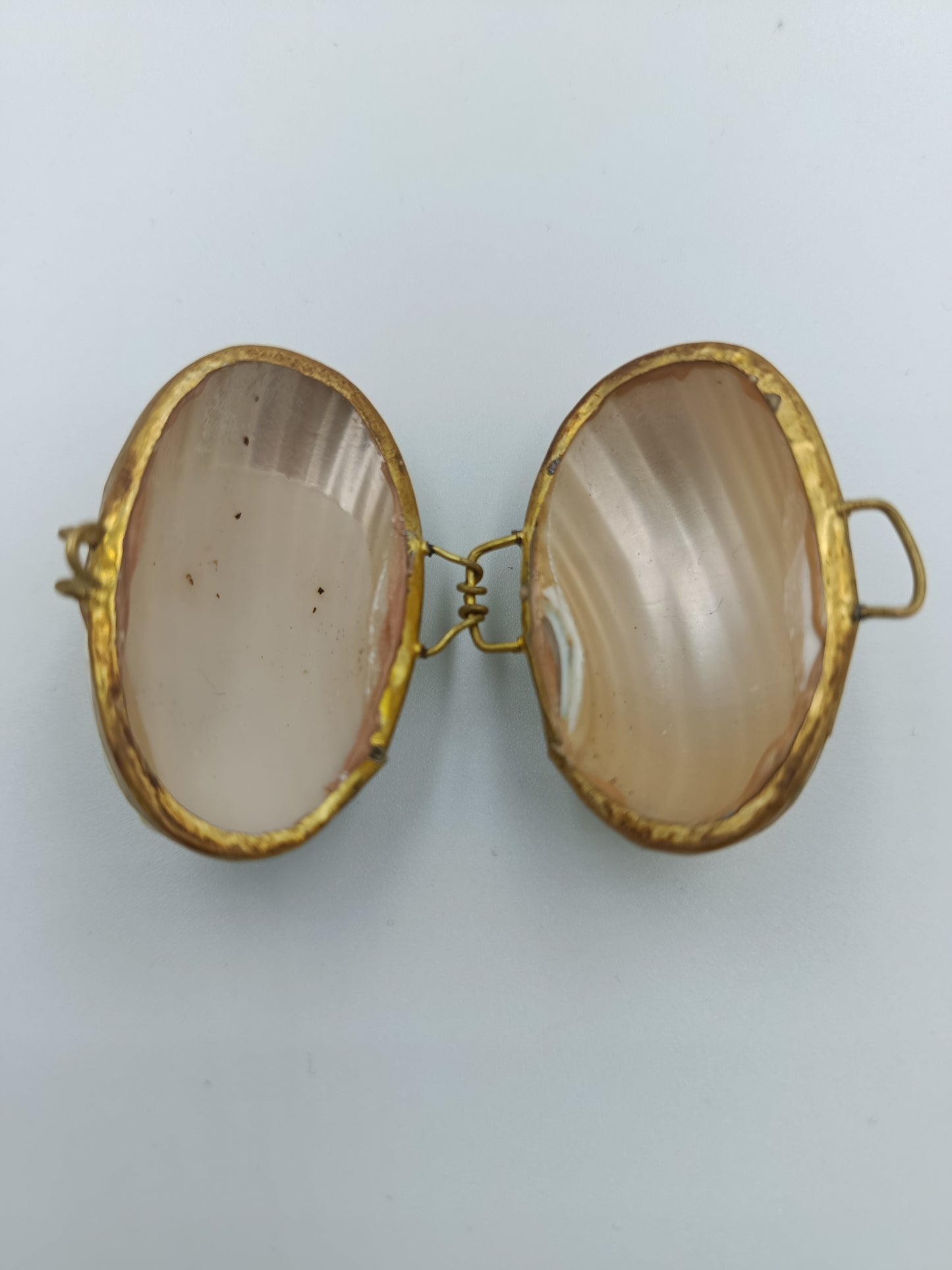 Muschel-Dose mit Messingfassung