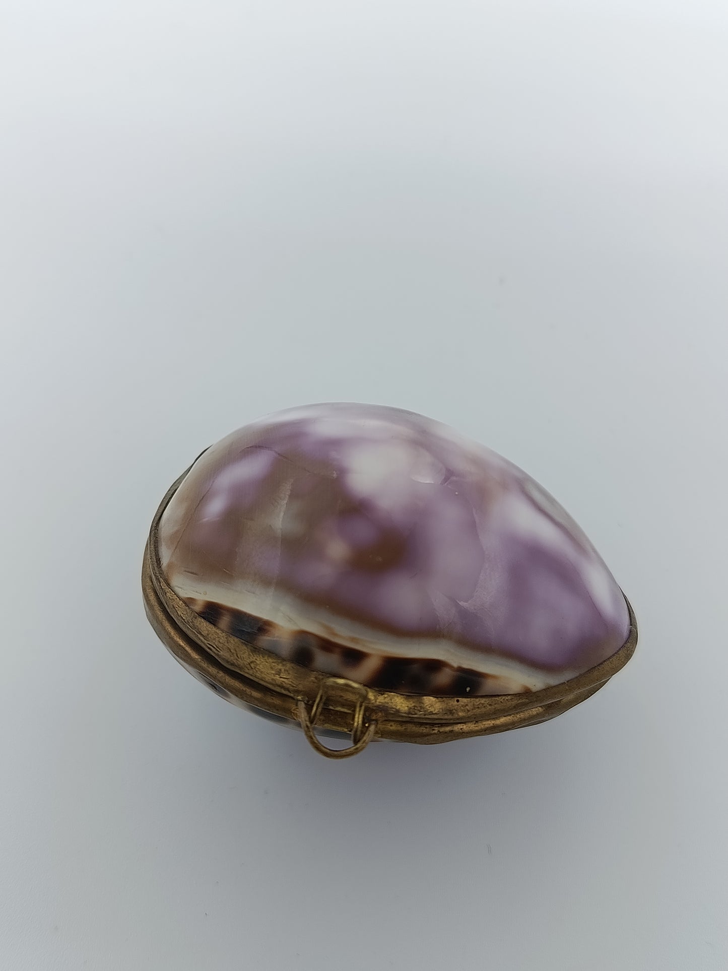 Muschel-Döschen mit Messingfassung