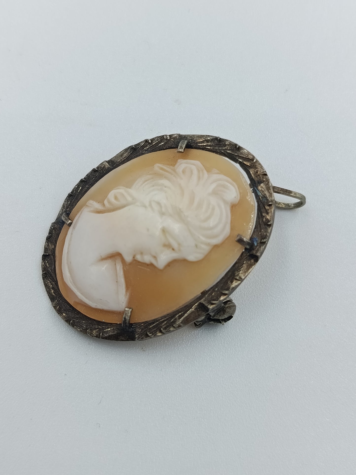 Antike Muschelkamee-Brosche/Pendant