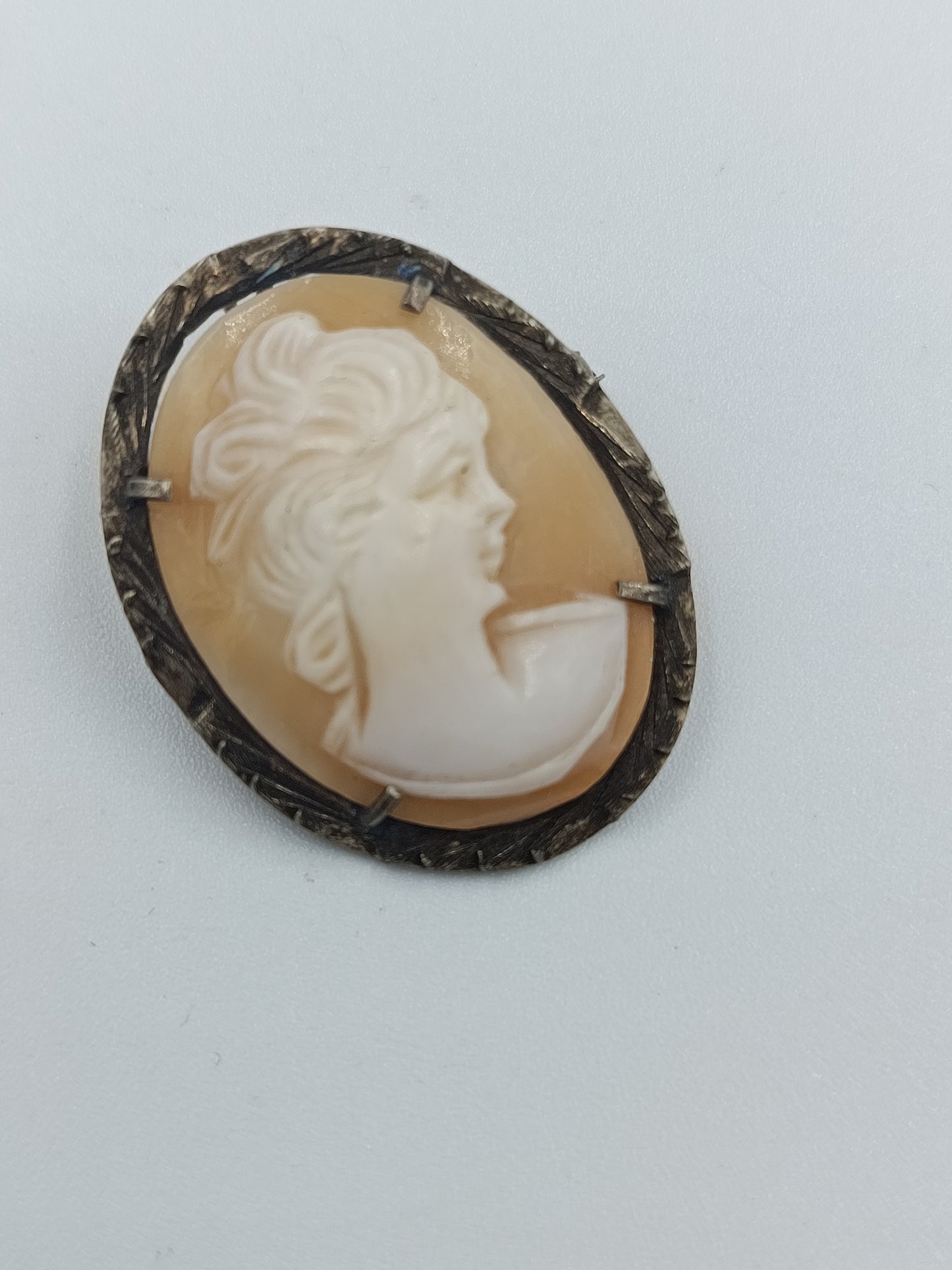 Antike Muschelkamee-Brosche/Pendant