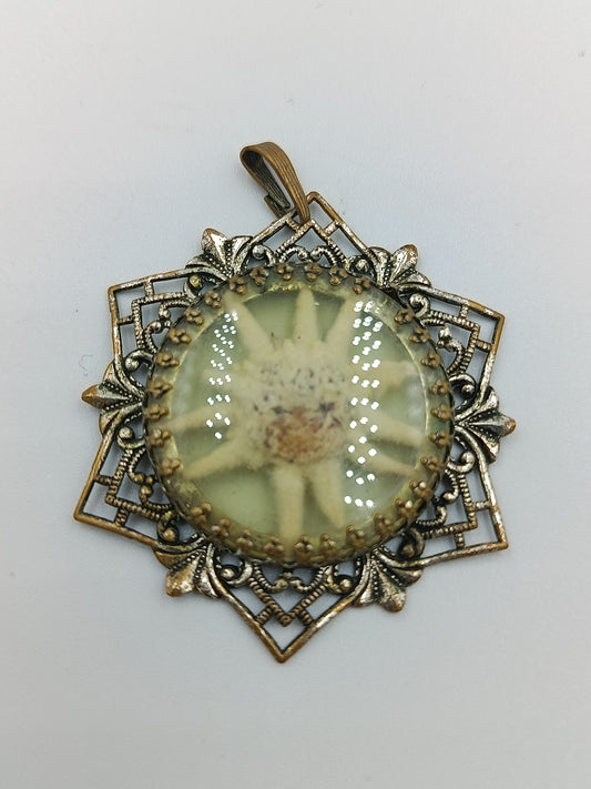 Vintage Edelweiß-Anhänger mit filigranem Rahmen