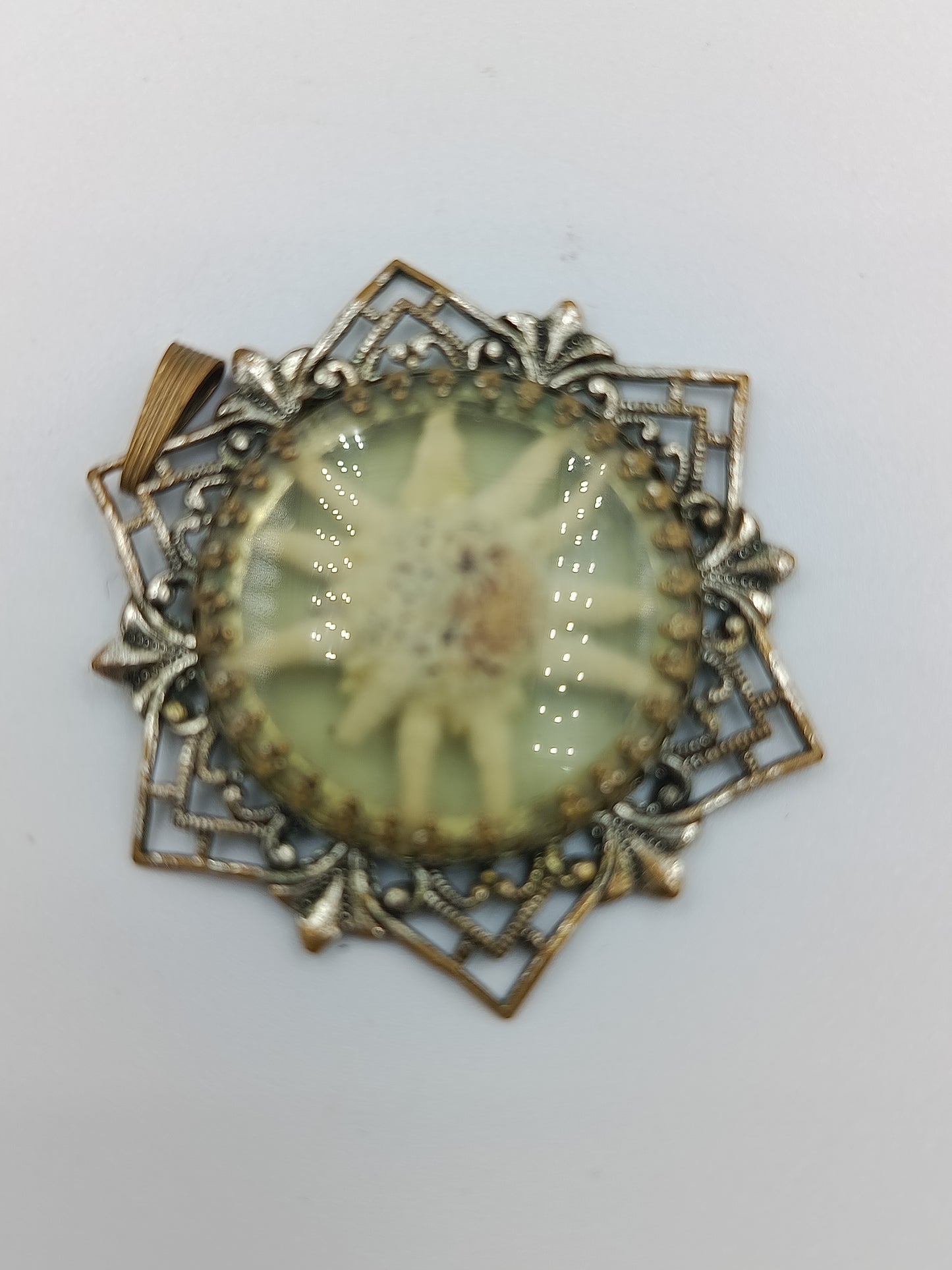 Vintage Edelweiß-Anhänger mit filigranem Rahmen
