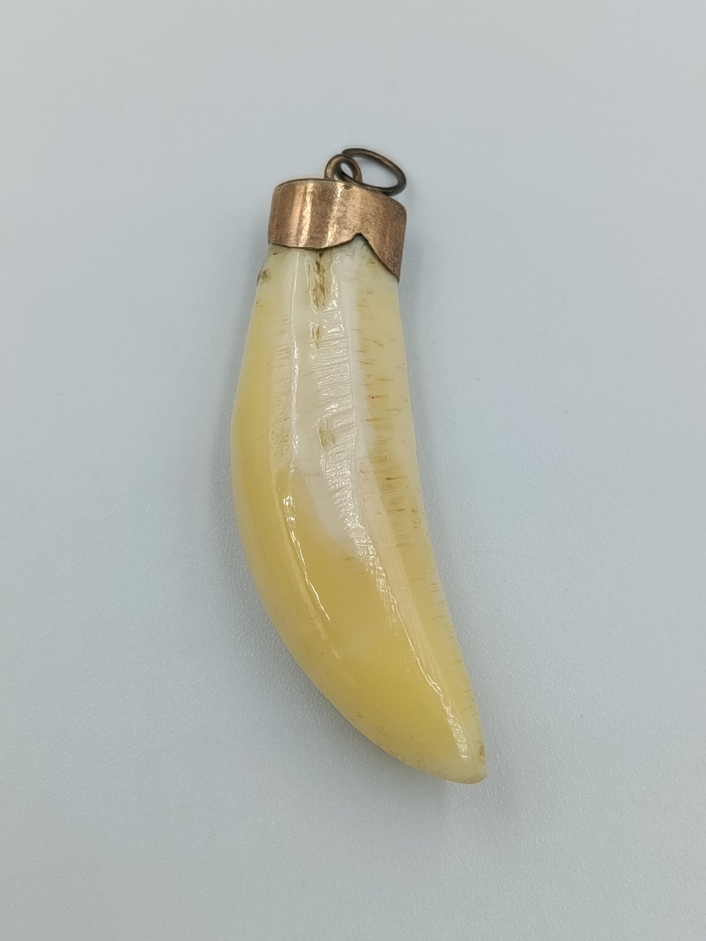 Vintage Anhänger mit Tierzahn und Messingfassung