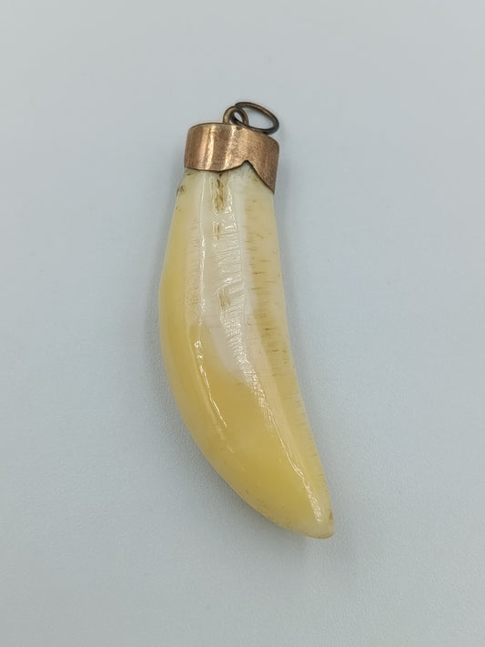 Vintage Anhänger mit Tierzahn und Messingfassung
