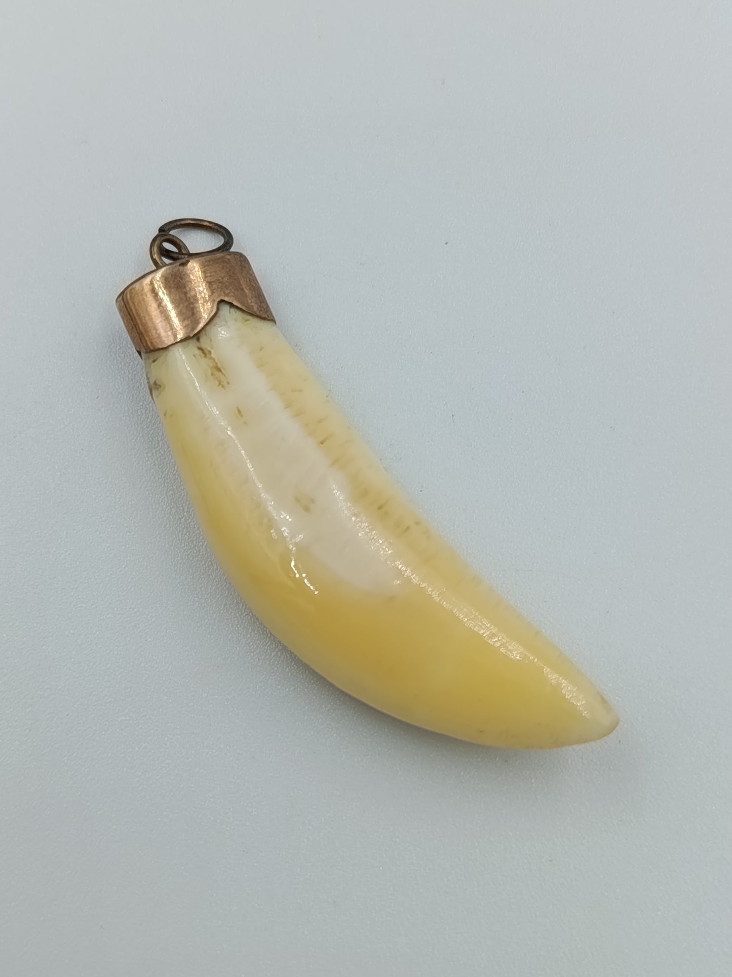 Vintage Anhänger mit Tierzahn und Messingfassung